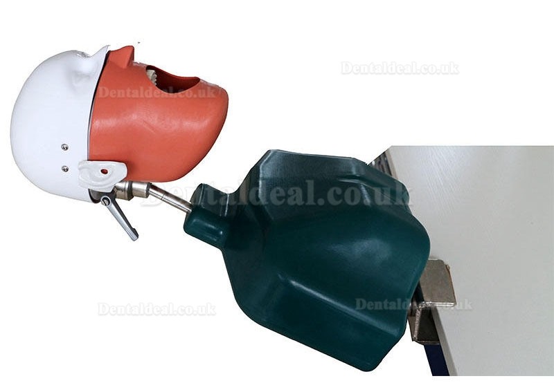 Jingle JG-C1 Dental Surgery Practice Model Head Clamp Type Simulation Phantom Head